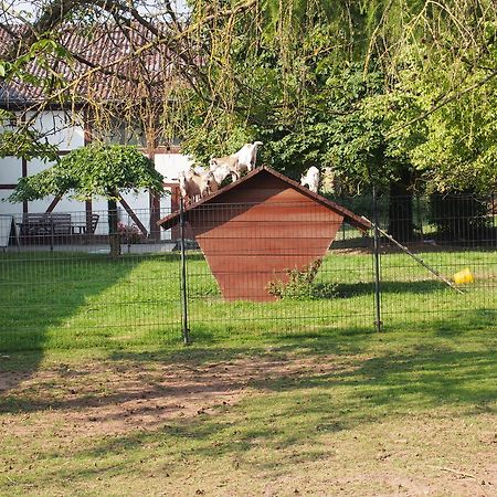 Gut Dankerode Apartment Exterior photo